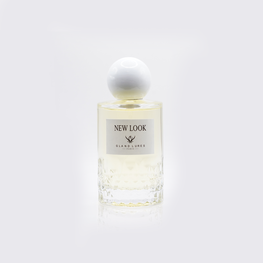 Inspired from DIOR NEW LOOK