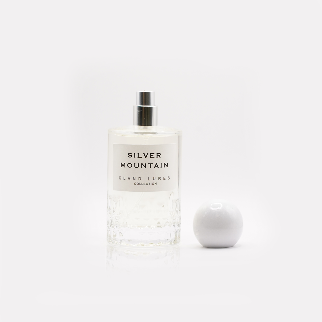 Inspired from SILVER MOUNTAIN
