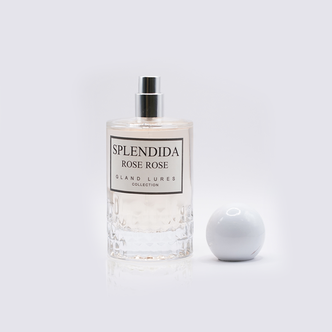 Inspired from SPLENDIDA ROSE