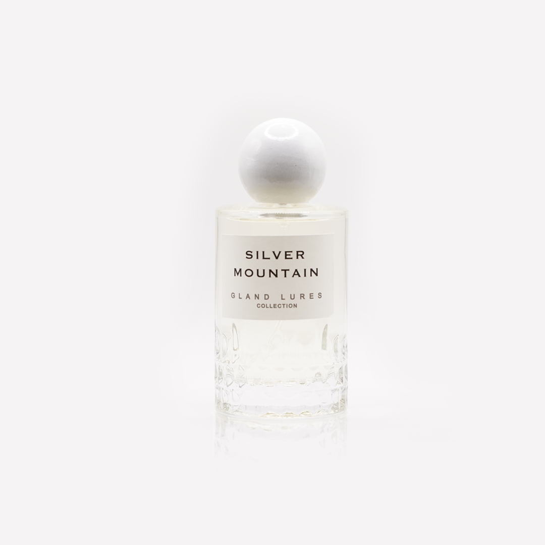Inspired from SILVER MOUNTAIN