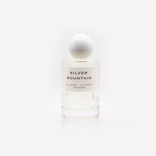 Inspired from SILVER MOUNTAIN
