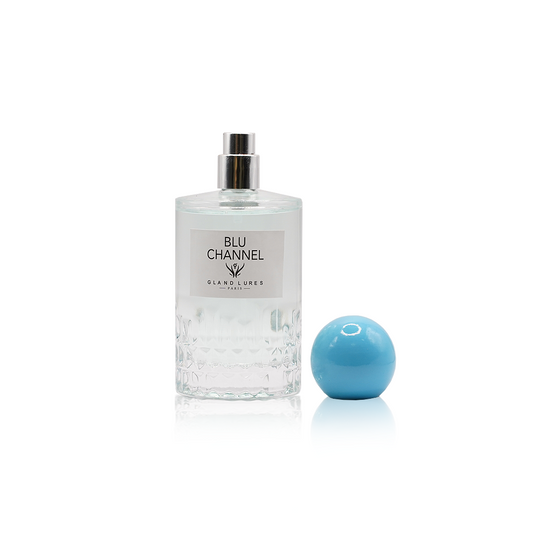Inspired from Bleu de Chanel – fresh woody perfume bottle UAE | Gland Lures