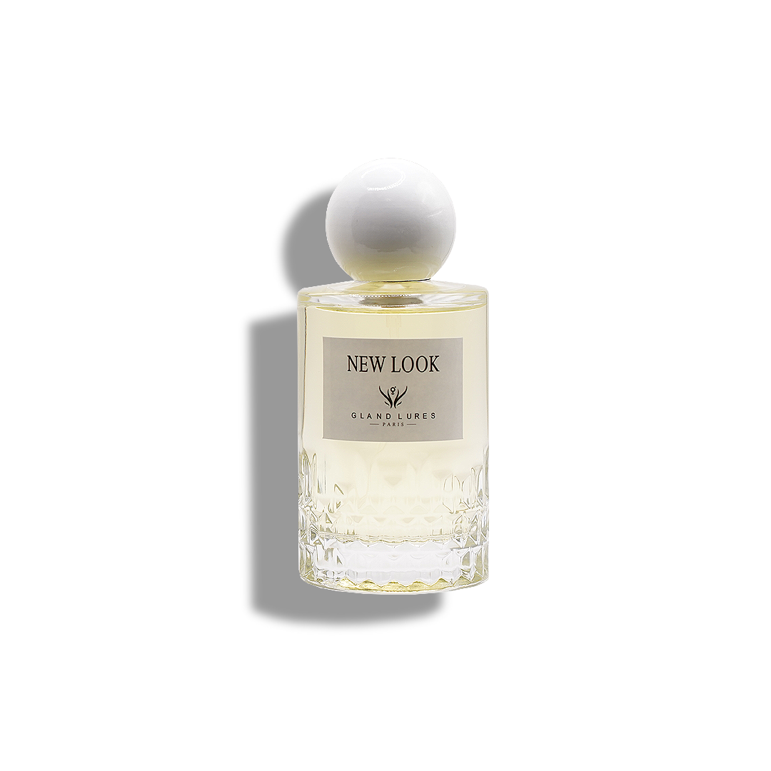 Inspired from DIOR NEW LOOK